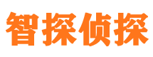 宁明市调查公司